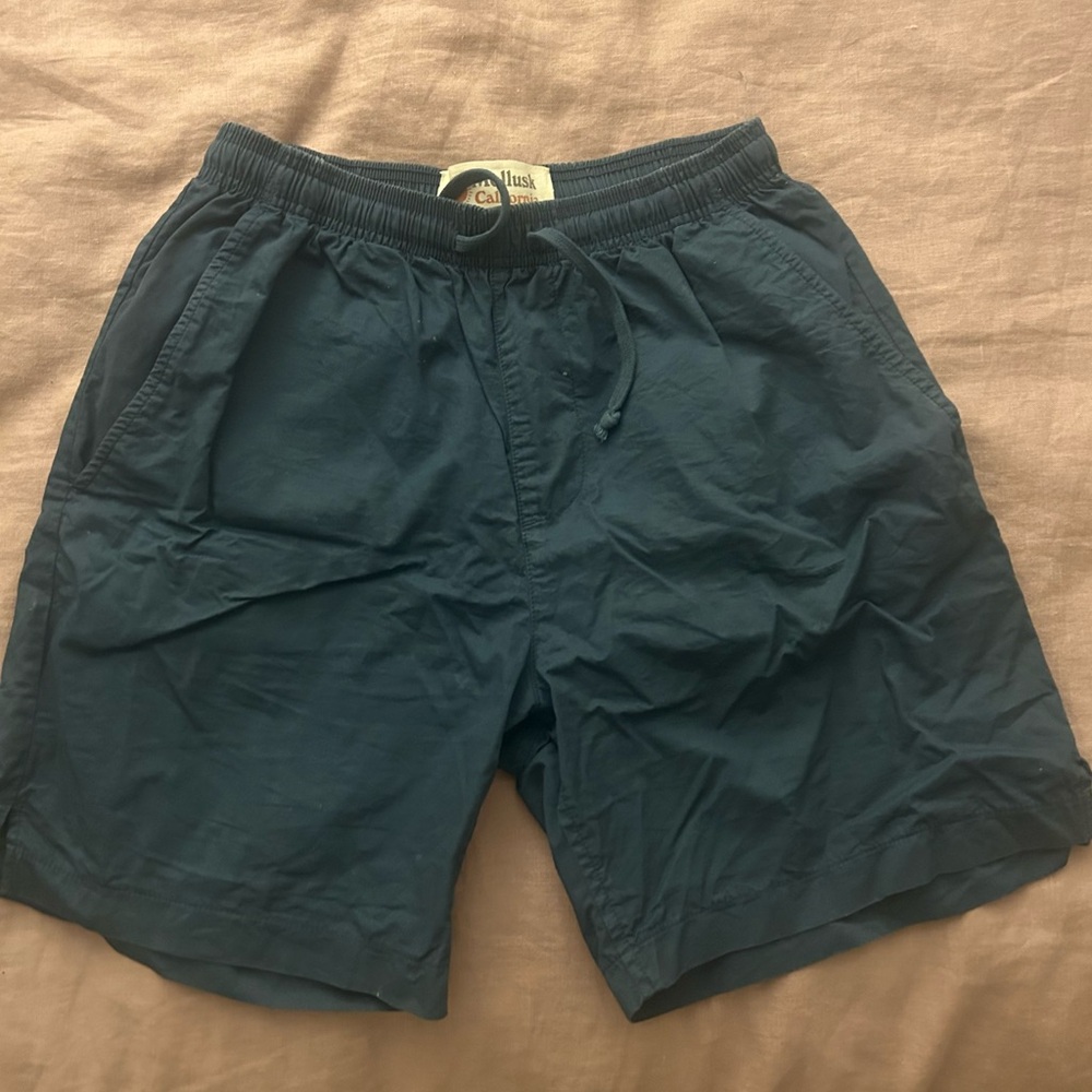 Mollusk Summer Short (M) Blue